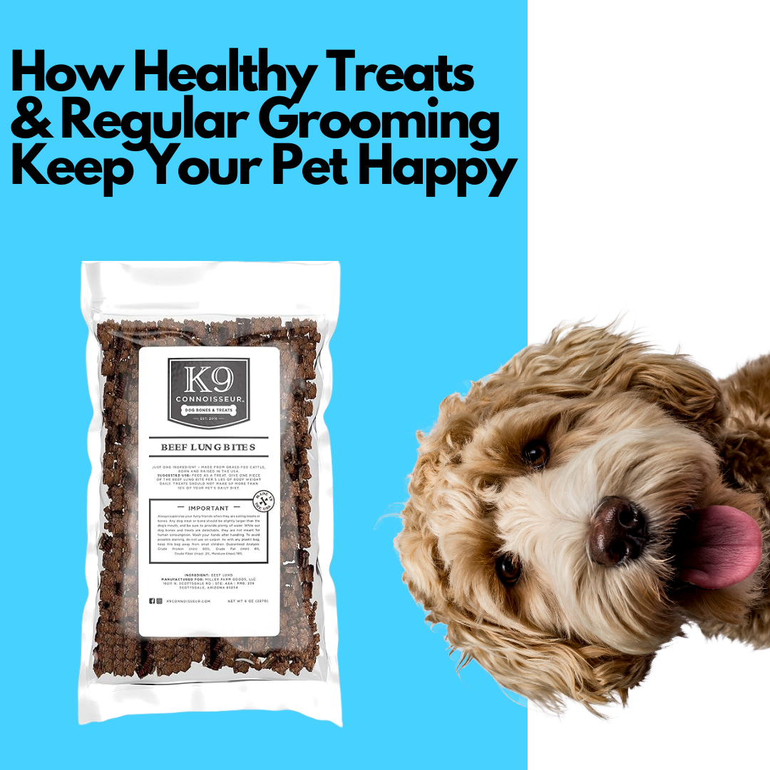 Featured image for blog post: Healthy Treats and Grooming: A Perfect Duo for Your Pet’s Well-being
